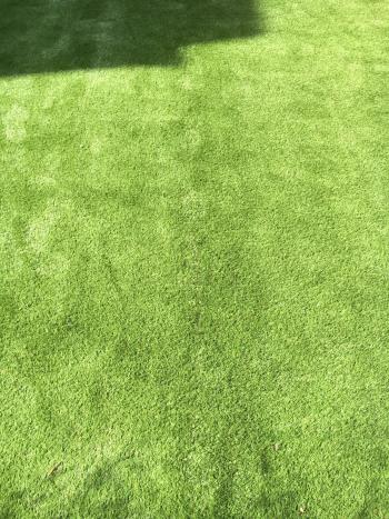 Dulwich Artificial Grass