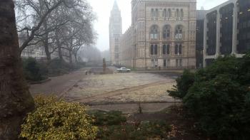 National History Museum