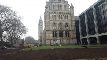 National History Museum