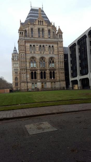 National History Museum