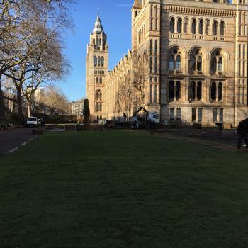 National History Museum 2018