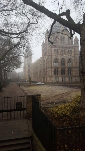 National History Museum