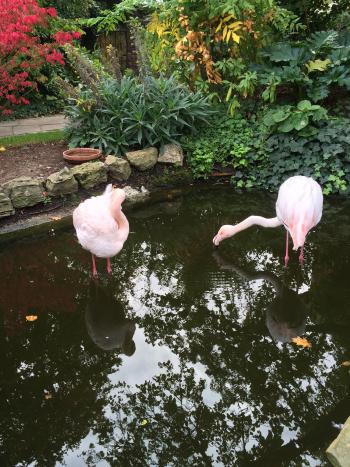 Kensington Roof Gardens