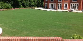 Turfing Project Case Study