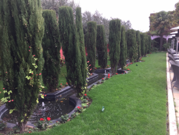 Kensington Roof Gardens