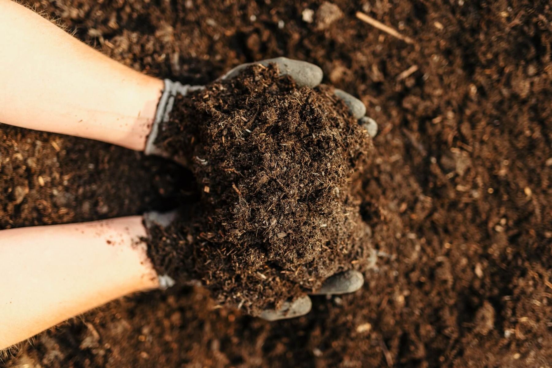 Rolawn Beds and Borders Topsoil London Lawn Turf Company