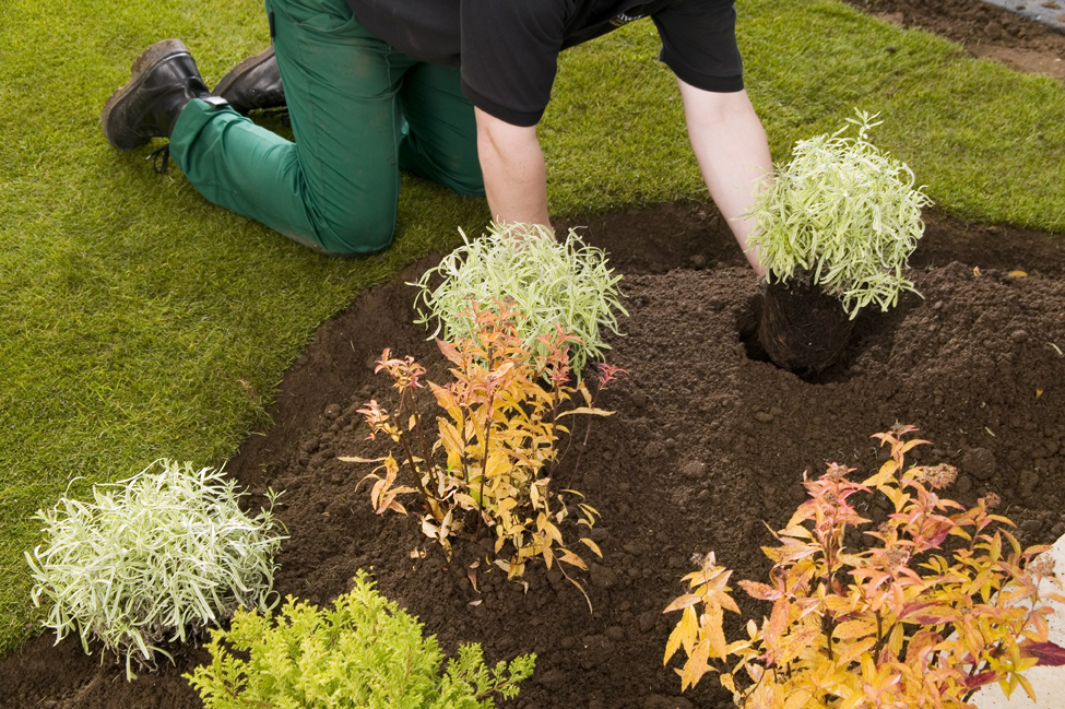 Rolawn Beds and Borders Topsoil London Lawn Turf Co