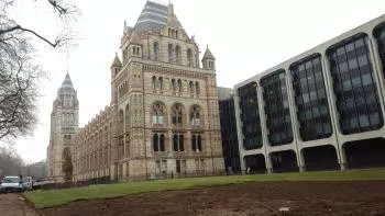 National History Museum