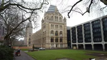 National History Museum