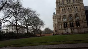 National History Museum