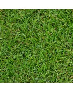 London Premium Turf