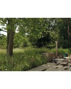 Meadowscape Pro Shade Tolerant 