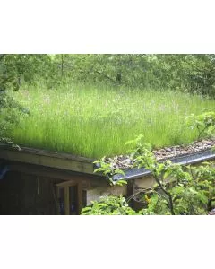 Wildflower Roof Turf 