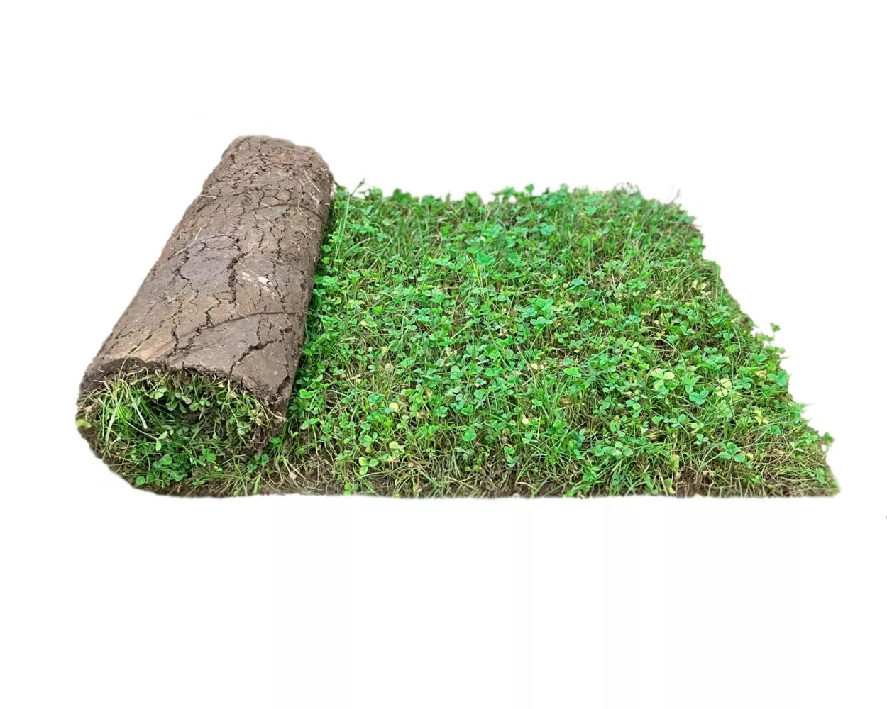 Clover Lawn Eco Turf | London Lawn Turf Company
