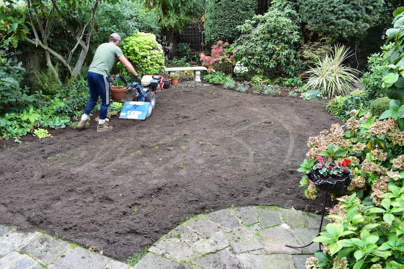 Case Study: Menelik Road 1