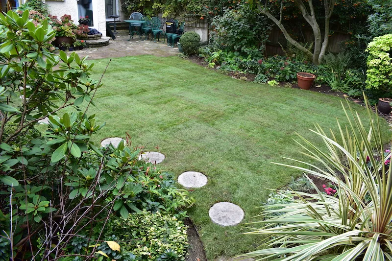 Case Study: Menelik Road 6