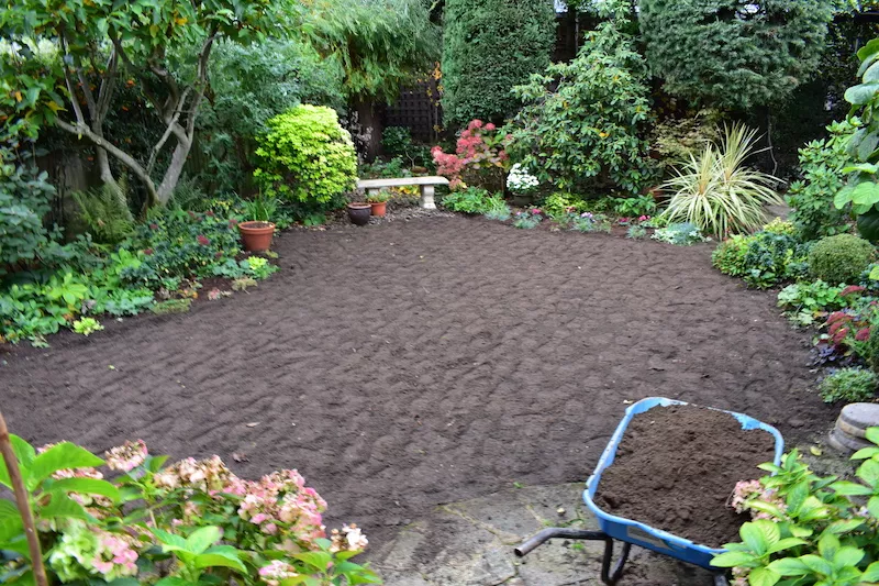 Case Study: Menelik Road 8