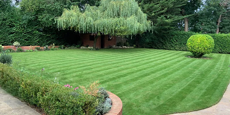 Case Study: Woodfield Hill 2