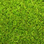 Top tips for artificial grass maintenance in autumn