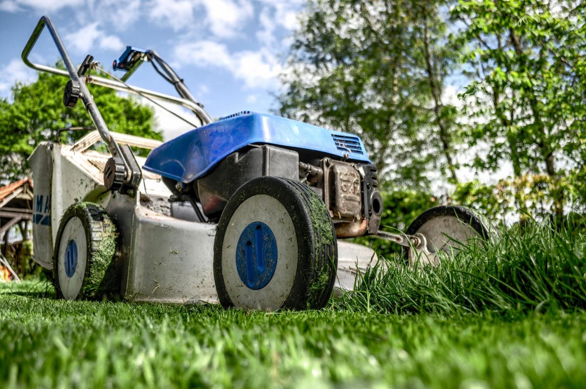 Best time to mow your lawn