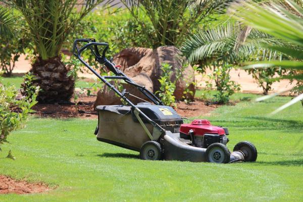 Burn calories whilst mowing your lawn