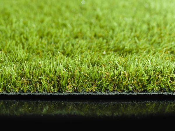Artificial grass and your pet