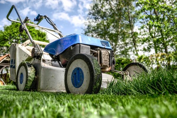 Best time to mow your lawn