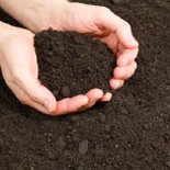 BUY TOPSOIL ONLINE