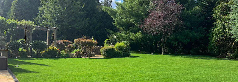 Turf Suppliers