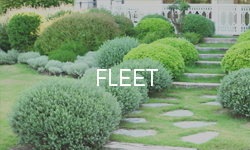 turf suppliers fleet