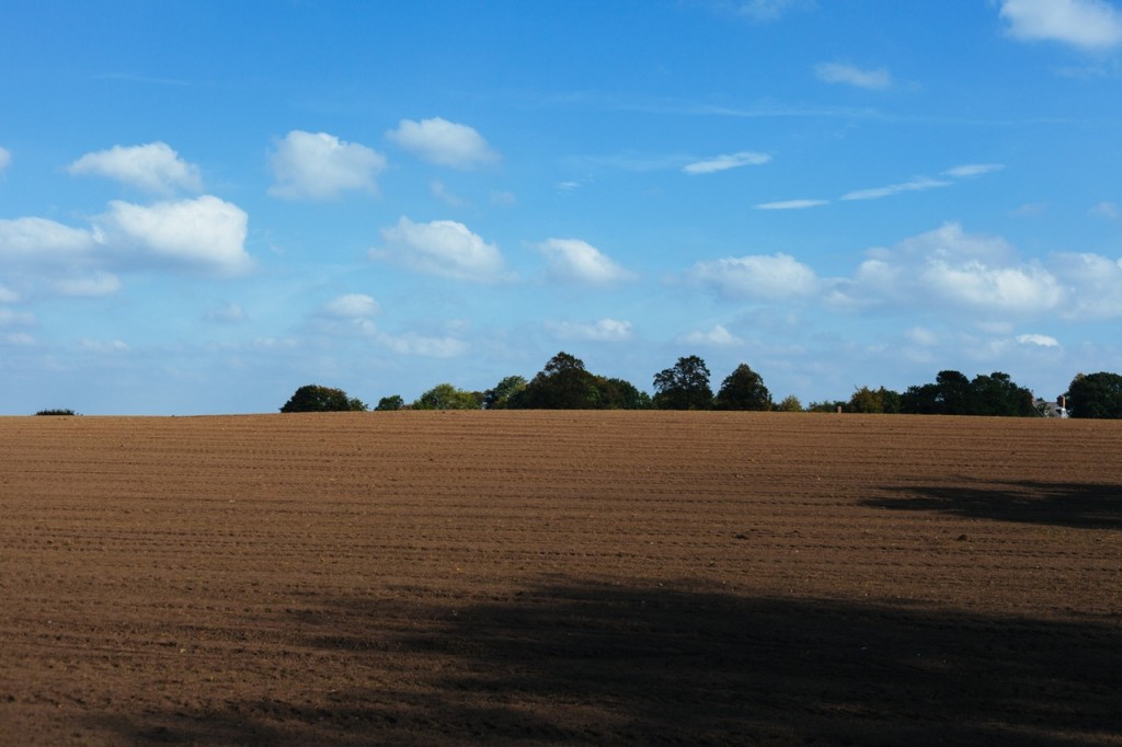 field-agriculture-soil (1)