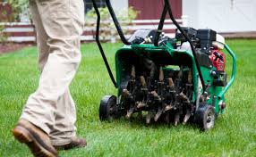 7 Quick Tips on Lawn Aeration