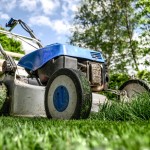 Best time to mow your lawn