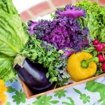4 Basic Tips on Starting an Organic Garden