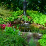 Garden Water Features That Are Perfect for Your Home This Summer