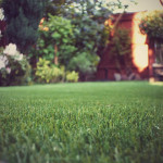 Who should consider getting artificial grass?