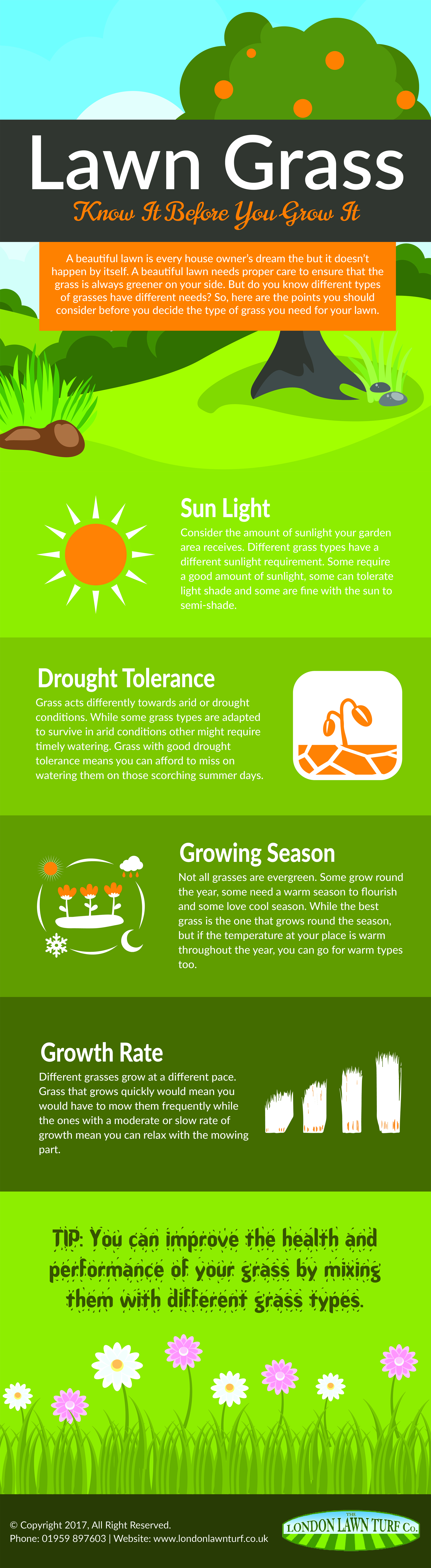 Lawn Grass - Know it before you grow it (Infographic)