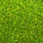 Top tips for artificial grass maintenance in autumn