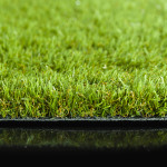 Artificial grass and your pet