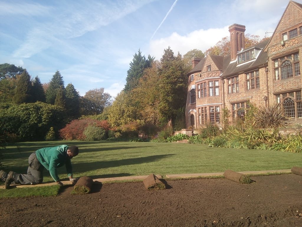 Laying lawn turf in Autumn